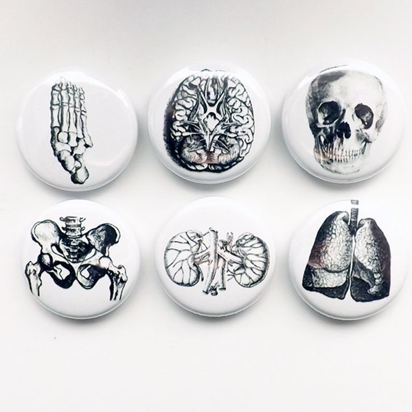 Medical human anatomy gift halloween button pins flair badges lung brain skull science body student party favor magnet goth male nurse bones