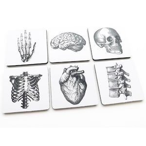 Anatomy Coasters hostess gift graduation doctor nursing medical student cardiology skull anatomical heart party favors geekery teacher goth image 1
