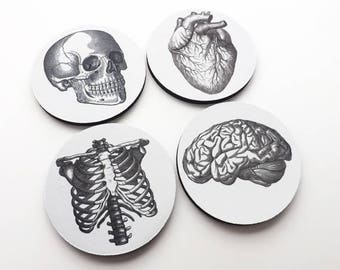 Doctor Nurse Coasters medical gift anatomy gothic home decor school dorm doctor anatomical thank you physician assistant geek goth mug mat