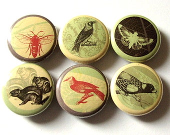 Button Pins Woodland creatures squirrel birds bee moth crow party favors stocking stuffers gifts nature forest magnet badges housewarming