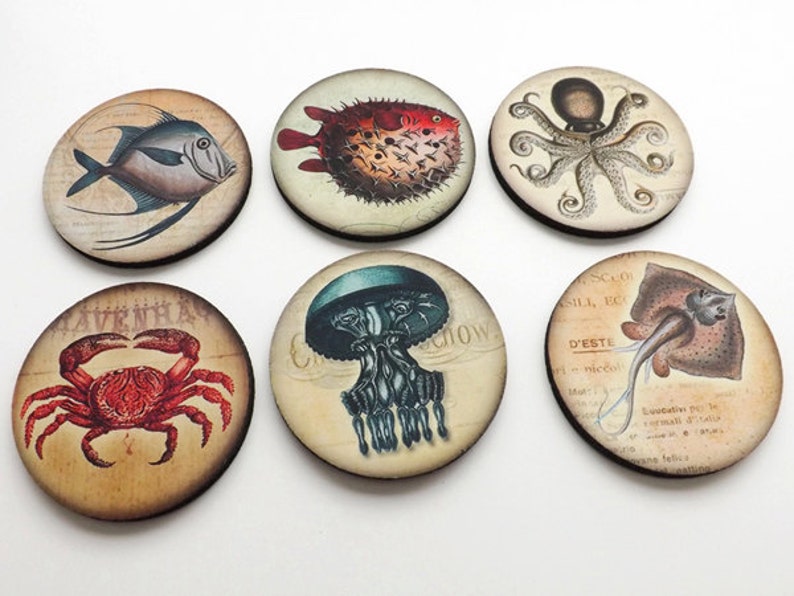 May include: Six round wooden coasters with different sea creatures printed on them. The coasters feature a crab, a jellyfish, a pufferfish, an octopus, a ray, and a fish.