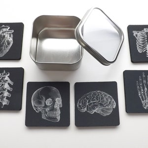 Doctor Medical School Graduation Gift Coaster goth future male nurse practitioner physician assistant anatomical heart skeleton med student