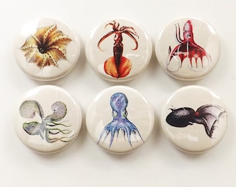 Octopus gift button pins magnets coasters sea beach ocean nature marine biology stocking stuffer cthulhu tentacles kraken goth cephalopod