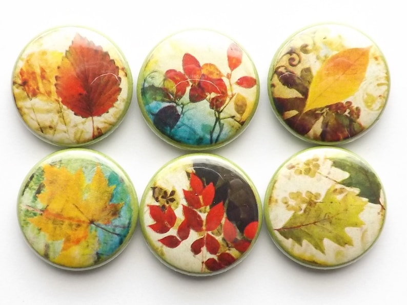 Fall Leaves Fridge MAGNETS Autumn Nature Party Favor Stocking Stuffer ...
