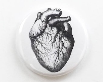 Anatomical Heart Anatomy (1) one button pin anatomy fridge magnet coaster mirror bottle opener stocking stuffer goth gift refrigerator