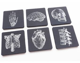 Human Anatomy Drink Coasters medical gift med student graduation halloween home decor anatomical heart science goth nurse practitioner md rn