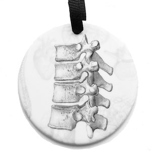 May include: A white ceramic ornament with a black ribbon for hanging. The ornament features a detailed anatomical illustration of a human spine.