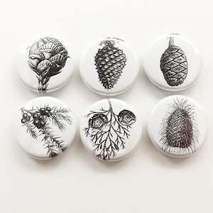 May include: Six white round buttons with black botanical illustrations. The designs include a pine cone, a sprig of berries, and other plant elements. The buttons are arranged in two rows of three.
