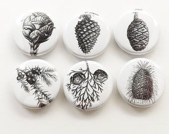 Pinecones fridge magnets set badge coasters conifers forest black white party favors stocking stuffers 1 inch minimalist gift pine cone tree