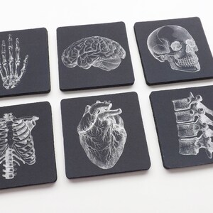 Doctor Medical School Graduation Gift Coaster goth future male nurse practitioner physician assistant anatomical heart skeleton med student image 3