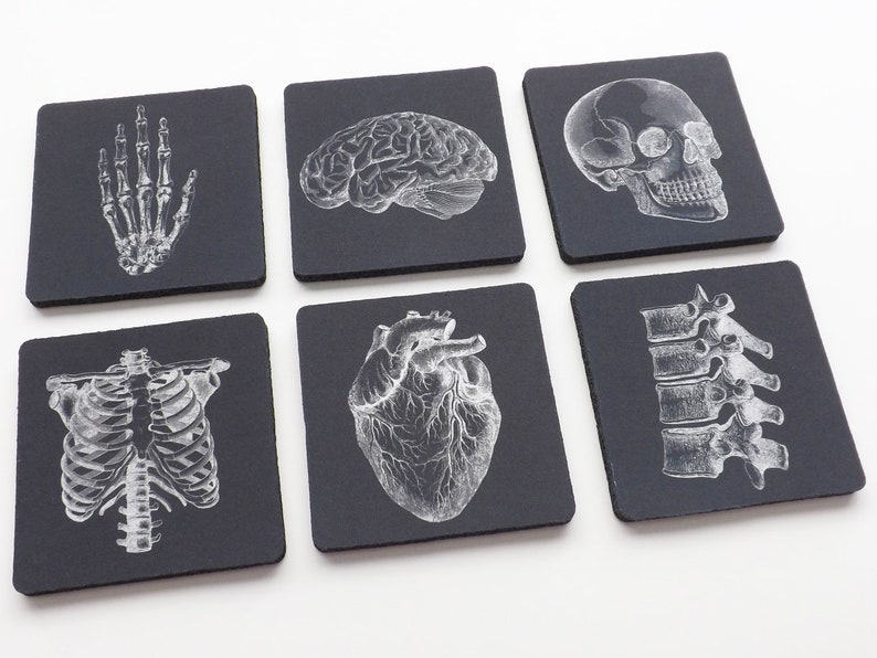 Doctor Medical School Graduation Gift Coaster goth future male nurse practitioner physician assistant anatomical heart skeleton med student image 3