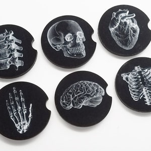 May include: Set of six black coasters with white anatomical illustrations. The illustrations include a skull, heart, brain, rib cage, spine, and hand.