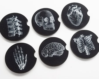 Könnte beinhalten: Satz mit sechs schwarzen Untersetzern mit weißen anatomischen Illustrationen. Die Illustrationen zeigen einen Schädel, ein Herz, ein Gehirn, einen Brustkorb, eine Wirbelsäule und eine Hand.