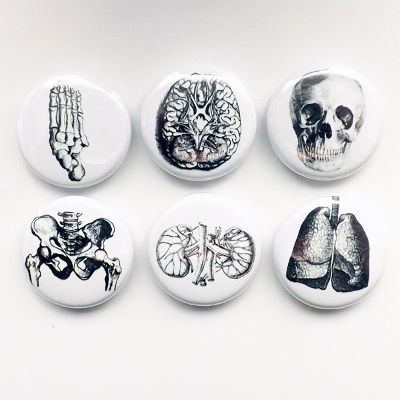 Human Body Anatomy Physician Assistant Doctor Gift Etsy