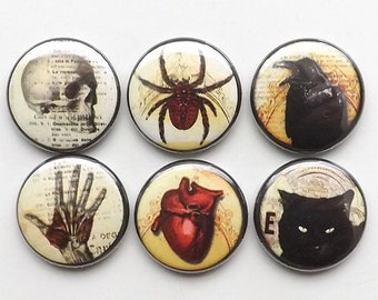 Goth Fridge Magnets macabre horror skull anatomical heart black cat halloween party favor button pins gift trick treat raven spider web crow