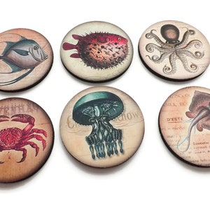 May include: Set of six round coasters featuring vintage illustrations of various sea creatures, including a crab, jellyfish, octopus, pufferfish, and two types of fish. The coasters are made of wood and have a distressed, antique look.