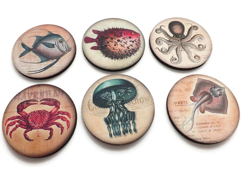 May include: Set of six round coasters featuring vintage illustrations of various sea creatures, including a crab, jellyfish, octopus, pufferfish, and two types of fish. The coasters are made of wood and have a distressed, antique look.