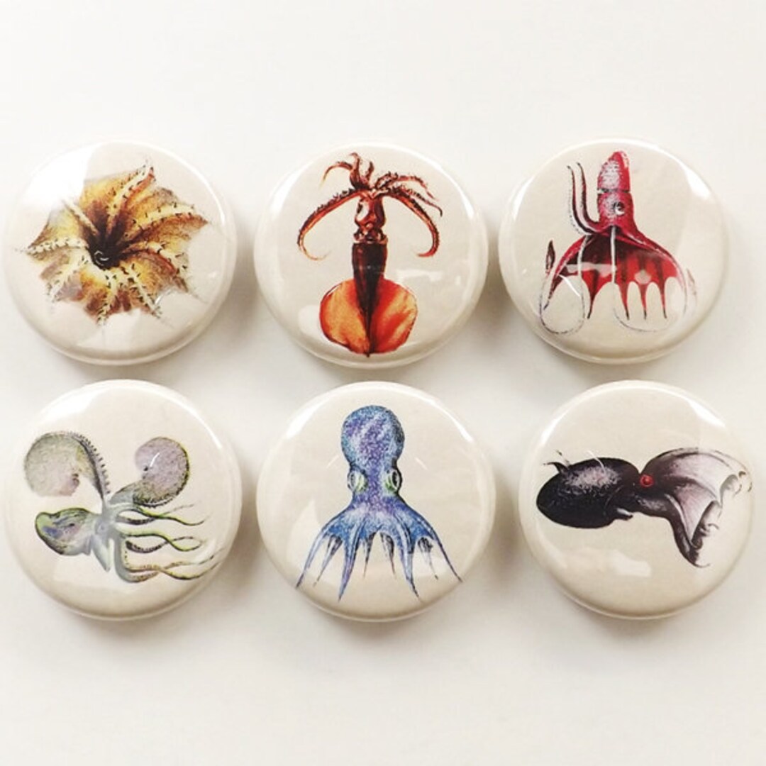 Octopus Fridge Magnets Set, Coasters, Party Favors, Marine Biology ...