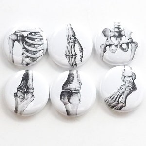 May include: Set of six white round buttons with black and white anatomical illustrations of different human bones. The bones include a rib cage, hand, pelvis, knee, ankle, and foot.