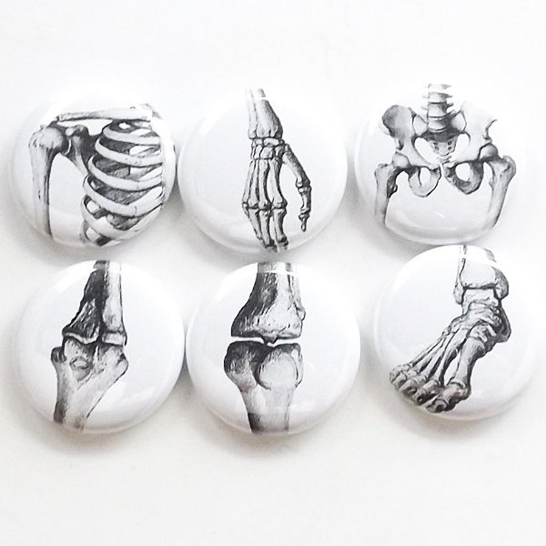 May include: Set of six white round buttons with black and white anatomical illustrations of different human bones. The bones include a rib cage, hand, pelvis, knee, ankle, and foot.