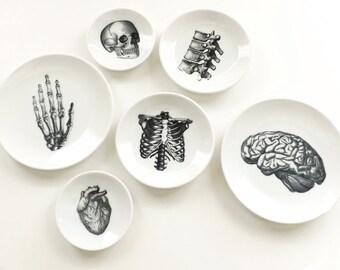 Anatomy Dishes small shallow ceramic plate goth decor halloween graduation gift wedding ring dish skull heart brain home medical black white