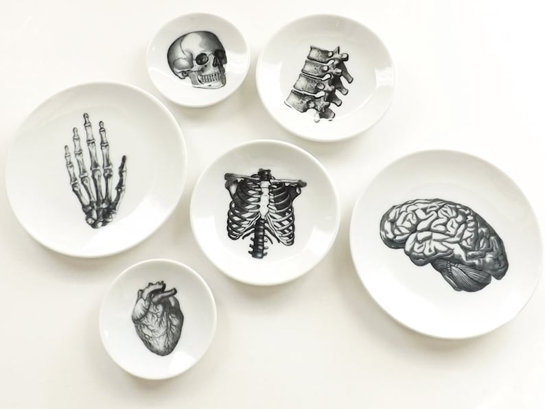Anatomy Dishes small shallow ceramic plate goth decor halloween graduation gift wedding ring dish skull heart brain home medical black white