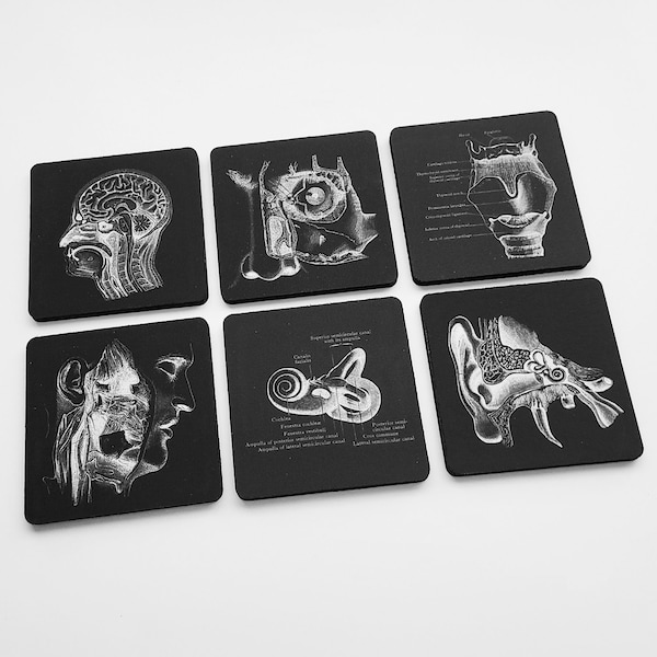 ENT Drink Coasters gift set ear nose throat doctor otolaryngologist medical school graduation stocking stuffers