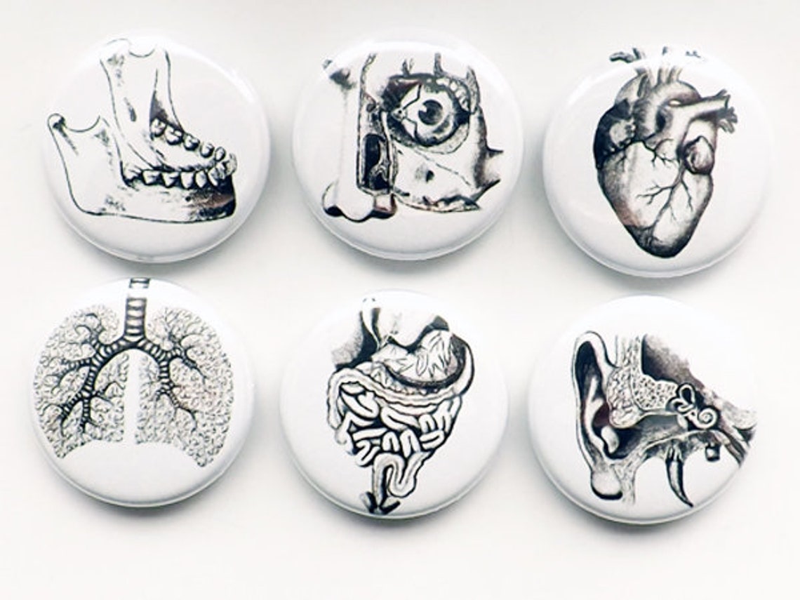 Retractable Badge Reel Anatomy Medical Gift Doctor Male Nurse Etsy