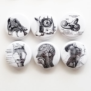 ENT Refrigerator Magnets graduation gift ear nose throat party favors fridge doctor nurse physician assistant surgeon goth office coworker