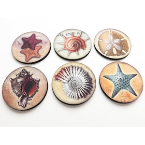 May include: Six round coasters with a variety of seashells and starfish designs. The coasters are made of wood and have a vintage look.