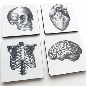 Anatomy Coasters Medical Student Gift doctor graduation goth nurse practitioner physician assistant anatomical heart bones skeleton skull md image 4