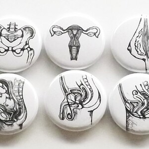 May include: Set of six black and white anatomical illustrations printed on white round buttons. The illustrations depict the female reproductive system, including the pelvis, uterus, ovaries, fallopian tubes, vagina, and breasts.