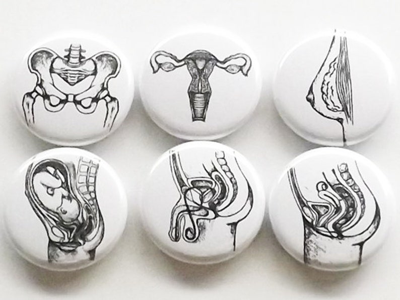 May include: Set of six black and white anatomical illustrations printed on white round buttons. The illustrations depict the female reproductive system, including the pelvis, uterus, ovaries, fallopian tubes, vagina, and breasts.