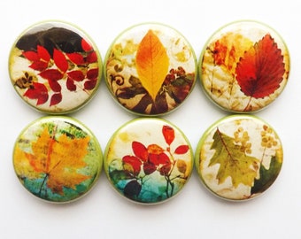 May include: Six round green buttons with different autumn leaf designs. Each button features a different color combination of red, orange, yellow, and green leaves.