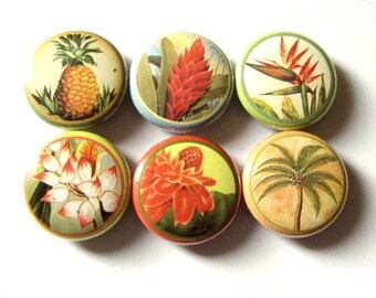 May include: Six round, colorful, metal tins with different tropical flower and plant designs. The designs include a pineapple, a red ginger flower, a bird of paradise flower, a white ginger flower, a red ginger flower, and a palm tree.