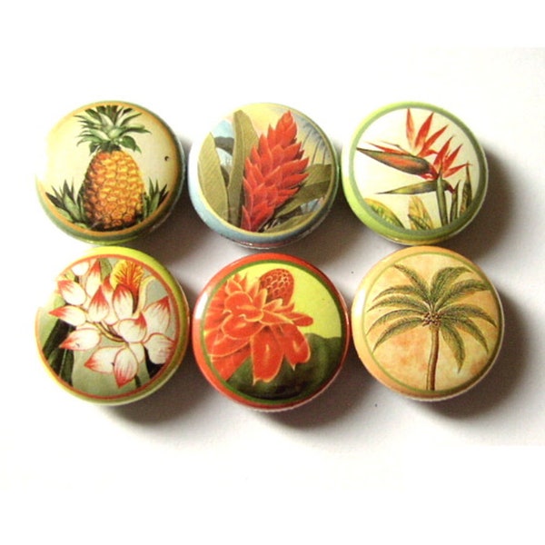 Hawaiian Flower fridge magnets set of six Hawaii floral tropical palm tree pineapple bird of paradise stocking stuffer flair button pins