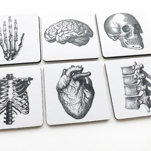 Anatomy Coasters hostess gift graduation doctor nursing medical student cardiology skull anatomical heart party favors geekery teacher goth image 2