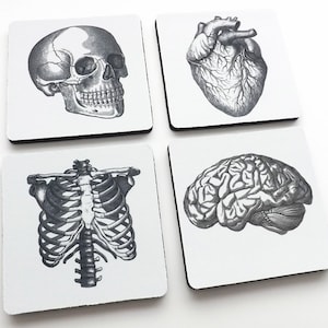 Anatomy Coasters hostess gift graduation doctor nursing medical student cardiology skull anatomical heart party favors geekery teacher goth image 3