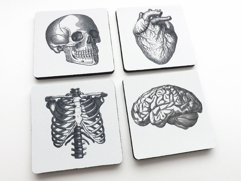 Anatomy Coasters hostess gift graduation doctor nursing medical student cardiology skull anatomical heart party favors geekery teacher goth image 3