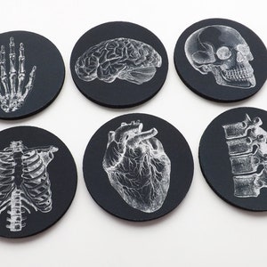 Anatomie Coaster futur médecin infirmier étudiant en médecine assistant médecin cadeau bas de Noël noir blanc goth décoration école gothique image 4