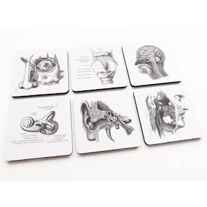 ENT Drink Coasters gift set ear nose throat head neck doctor otolaryngologist medical school graduation stocking stuffers human body anatomy