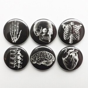 May include: Set of six black and white anatomical buttons featuring a skull, rib cage, hand, spine, brain, and heart.