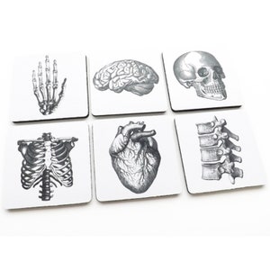 Hostess Gift Coaster anatomy graduation teacher brain anatomical human heart doctor nurse medical student skull party favor housewarming