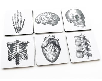Hostess Gift Coaster anatomy graduation teacher brain anatomical human heart doctor nurse medical student skull party favor housewarming