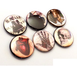 May include: Six round buttons with vintage-style images. The images include a skull, a hand skeleton, a heart, a cat, a bat, and a figure in a dress.
