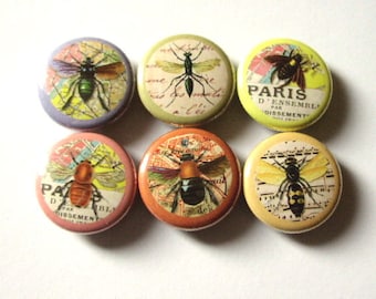 Insects fridge refrigerator magnet set nature bugs bee gift party favor stocking stuffer flair button pins rustic home decor science garden