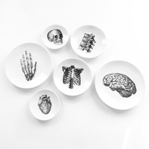 Anatomy Dishes small shallow ceramic plate goth decor halloween graduation gift wedding ring dish skull heart brain home medical black white