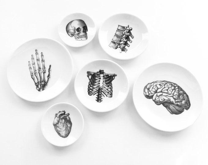 Anatomy Dishes small shallow ceramic plate goth decor halloween graduation gift wedding ring dish skull heart brain home medical black white