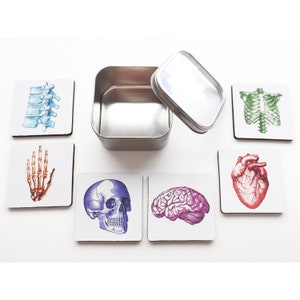 Gift for Doctor Nurse Medical School Graduation Coaster anatomical heart skull brain med him her male office home decor goth novelty mug mat