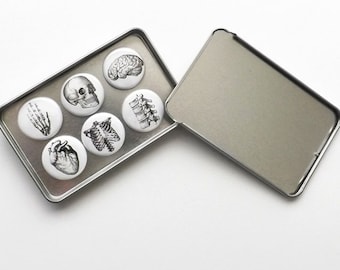 May include: A set of six anatomical themed buttons in a silver tin. The buttons feature a skull, brain, heart, hand, rib cage, and spine.